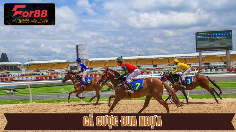 Cá Cược Đua Ngựa - Nơi Hội Tụ Niềm Đam Mê Và Cơ Hội Đổi Đời