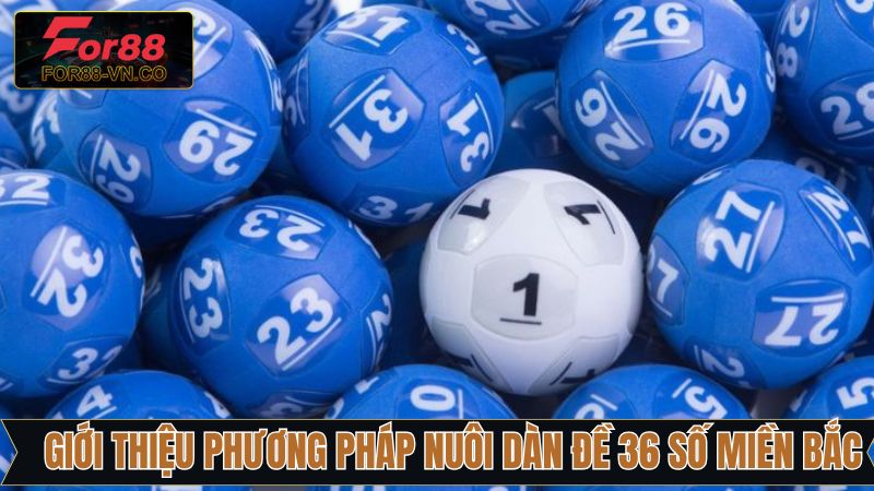 Khái quát về nuôi dàn đề 36 số miền Bắc