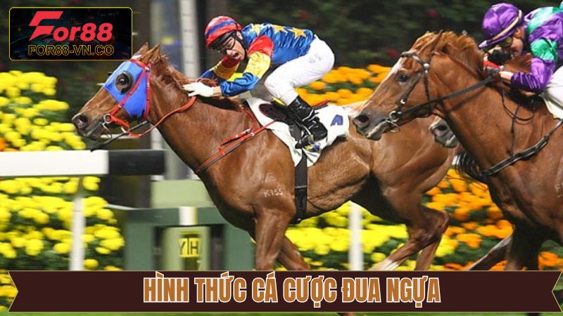Các loại hình cá cược đua ngựa được ưa chuộng nhất