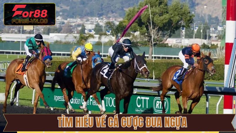 Đôi nét về cá độ đua ngựa kịch tính