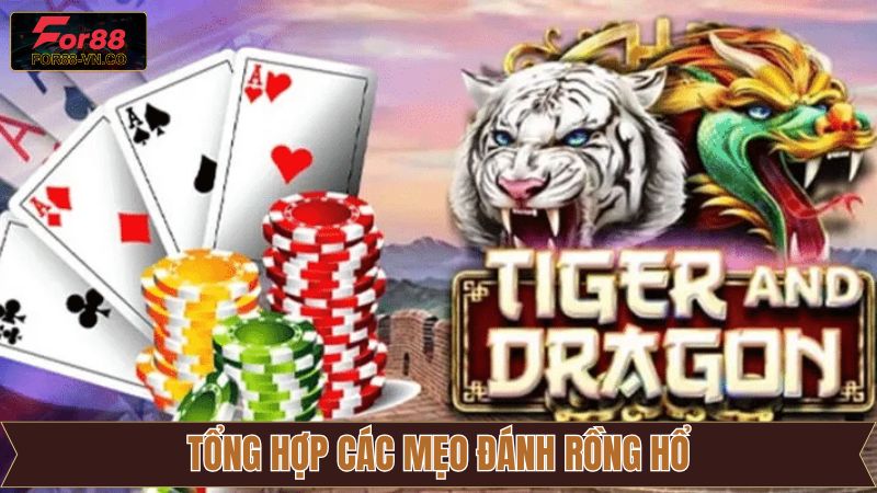 Kinh nghiệm cược Rồng Hổ For88 săn thưởng