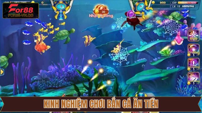 Kinh nghiệm hiệu quả nên áp dụng trong săn cá ăn tiền 